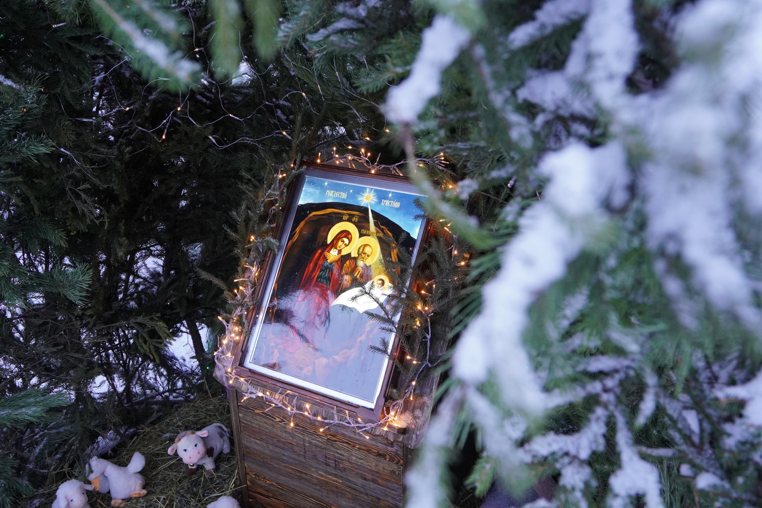 Рождественское послание епископа Балаковского и Николаевского Варфоломея